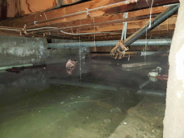 Best Commercial water damage restoration  in Shippensburg University, PA