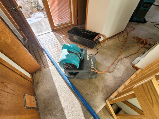 Best 24/7 water damage repair  in Shippensburg University, PA
