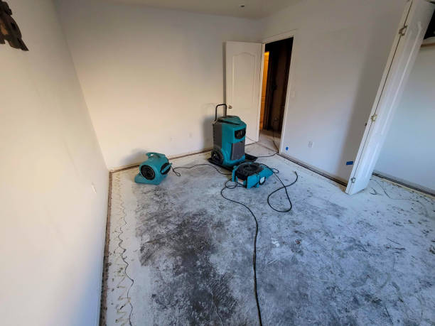  Shippensburg University, PA Water damage restoration Pros