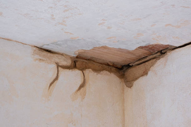Best Commercial water damage restoration  in Shippensburg University, PA