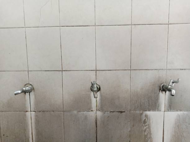 Best Carpet water damage restoration  in Shippensburg University, PA