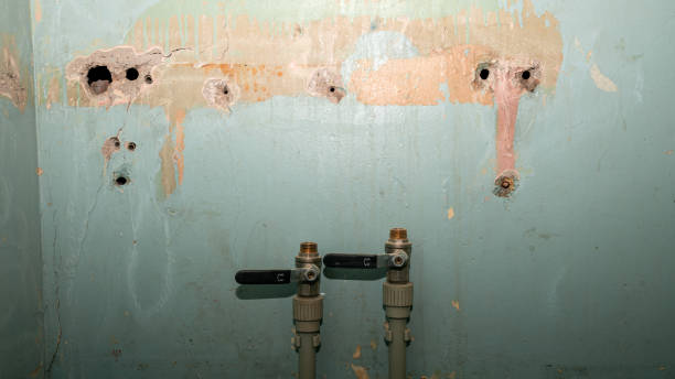 Best Fire Damage Restoration  in Shippensburg University, PA